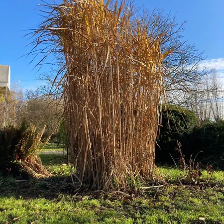 Elzentuin Apartmán *