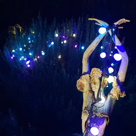 Apartmán Elzentuin *