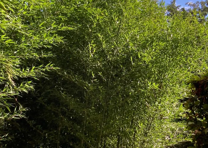 Apartamento Elzentuin *