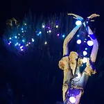 아파트 Elzentuin *
