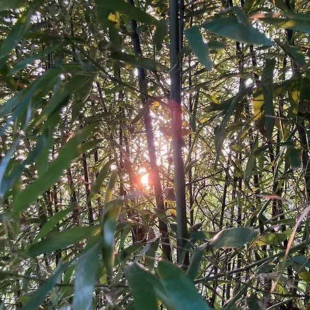 公寓 Elzentuin Oud-Beijerland