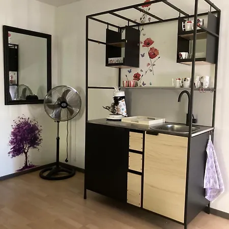 公寓 Elzentuin Oud-Beijerland