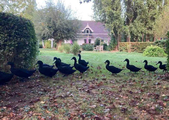 Elzentuin Oud-Beijerland