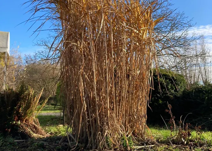 Elzentuin Апартаменты *